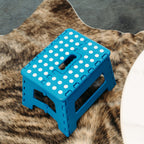 Portable Plastic Folding Stool